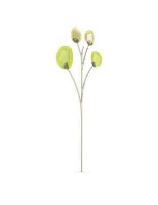 DECORAZIONE EUCALIPTO SWAROVSKI GARDEN TALES 5557803 SWAROVSKI