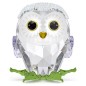 DECORAZIONE BABY CIVETTA IDYLLIA SWAROVSKI DECORAZIONE BABY CIVETTA IDYLLIA SWAROVSKI