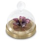 DECORAZIONE CAMPANA VETRO IBISCO SWAROVSKI GARDEN TALES DECORAZIONE CAMPANA VETRO IBISCO SWAROVSKI GARDEN TALES