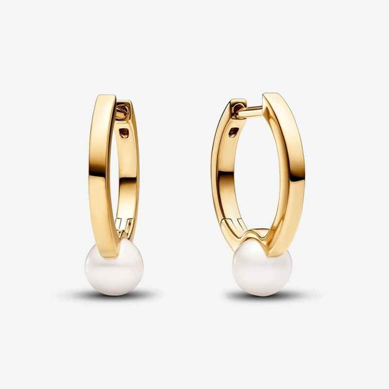 ORECCHINI CERCHI CON PERLE DONNA PANDORA TIMELESS ORECCHINI CERCHI CON PERLE DONNA PANDORA TIMELESS