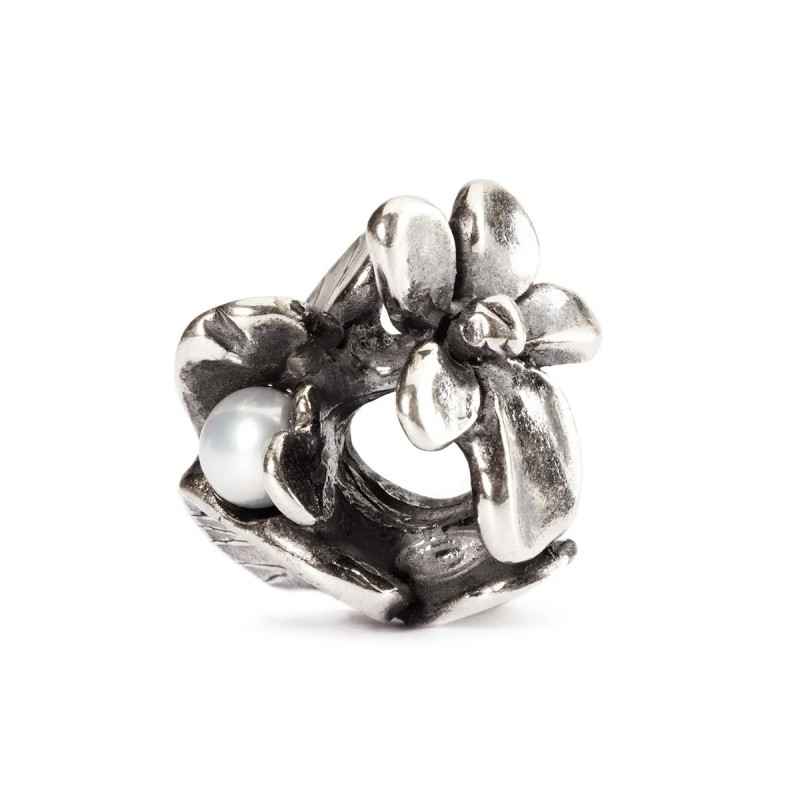BEAD VIOLA DI FEBBRAIO DONNA TROLLBEADS BEAD VIOLA DI FEBBRAIO DONNA TROLLBEADS