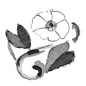 BEAD CONVOLVOLO DI SETTEMBRE DONNA TROLLBEADS BEAD CONVOLVOLO DI SETTEMBRE DONNA TROLLBEADS