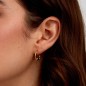 ORECCHINI COLORI ACCIAIO DORATO E PIETRE SILVER MORELLATO