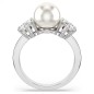 ANELLO MATRIX CON PERLA DI CRISTALLO MIS.55 DONNA SWAROVSKI ANELLO MATRIX CON PERLA DI CRISTALLO MIS.55 DONNA SWAROVSKI