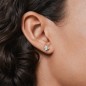 ORECCHINI A LOBO DEXTERA STELLA DONNA SWAROVSKI ORECCHINI A LOBO DEXTERA STELLA DONNA SWAROVSKI