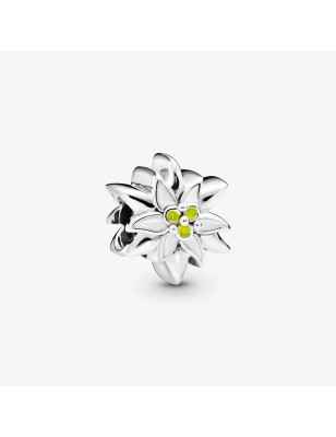 CHARM STELLA ALPINA DONNA PANDORA MOMENTS 798243ENMX PANDORA
