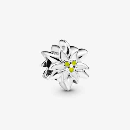 CHARM STELLA ALPINA DONNA PANDORA MOMENTS 798243ENMX PANDORA