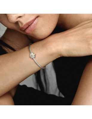 CHARM STELLA ALPINA DONNA PANDORA MOMENTS 798243ENMX PANDORA