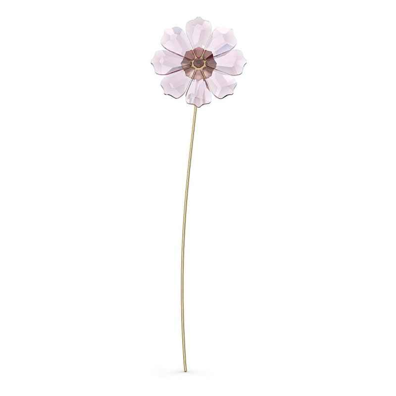 DECORAZIONE COSMOS SWAROVSKI GARDEN TALES DECORAZIONE COSMOS SWAROVSKI GARDEN TALES