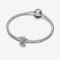 CHARM STELLA INTRECCIATA LUMINOSA DONNA PANDORA CHARM STELLA INTRECCIATA LUMINOSA DONNA PANDORA
