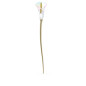 DECORAZIONE CALLA DONNA SWAROVSKI GARDEN TALES DECORAZIONE CALLA DONNA SWAROVSKI GARDEN TALES